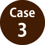 ケース3
